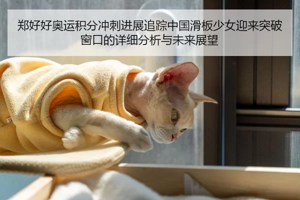郑好好奥运积分冲刺进展追踪中国滑板少女迎来突破窗口的详细分析与未来展望