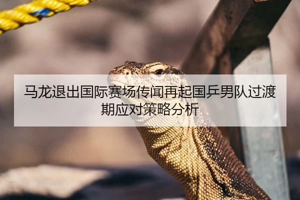 马龙退出国际赛场传闻再起国乒男队过渡期应对策略分析