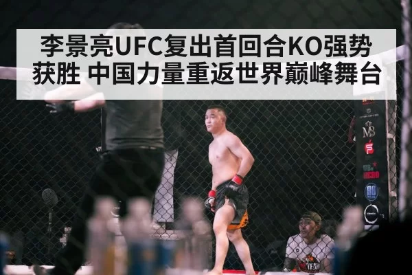 UFC octagon crowd