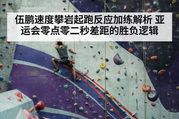 sport climbing competition wall