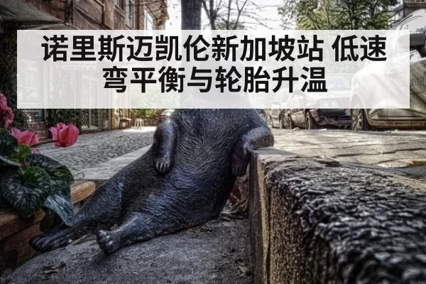 诺里斯迈凯伦新加坡站 低速弯平衡与轮胎升温